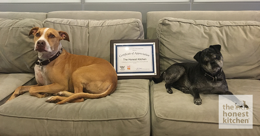 Recognition for our Stance on Puppy Mills