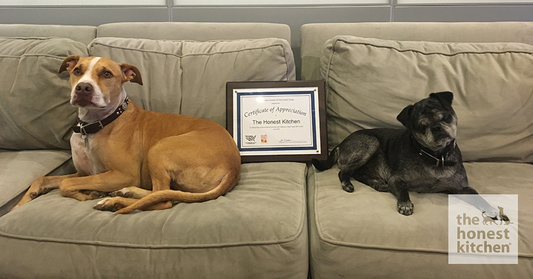 Recognition for our Stance on Puppy Mills