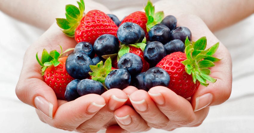 Fresh-Picked Fruits for Your Dogs