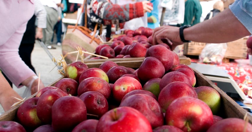 Farmers Market Finds for Your Pet