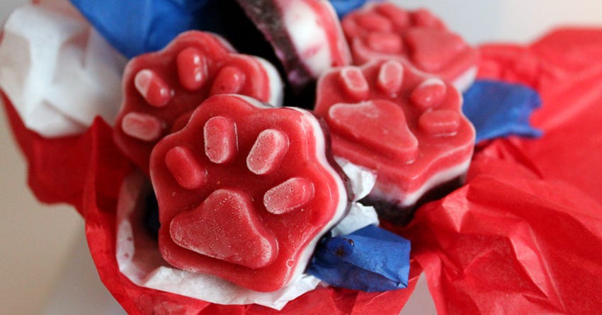 Honest Kitchen’s Red, White and Blue Frozen Pet Treats