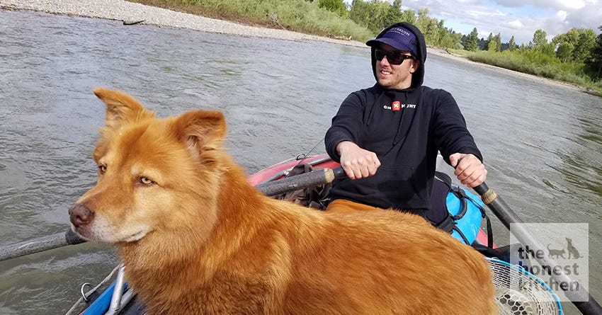 dog raft