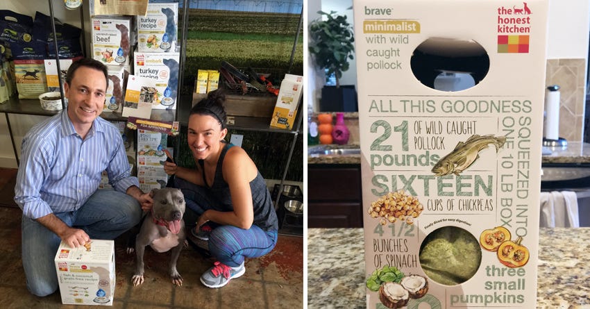 Success Story: How a Pit Bull Overcame Terrible Skin Issues