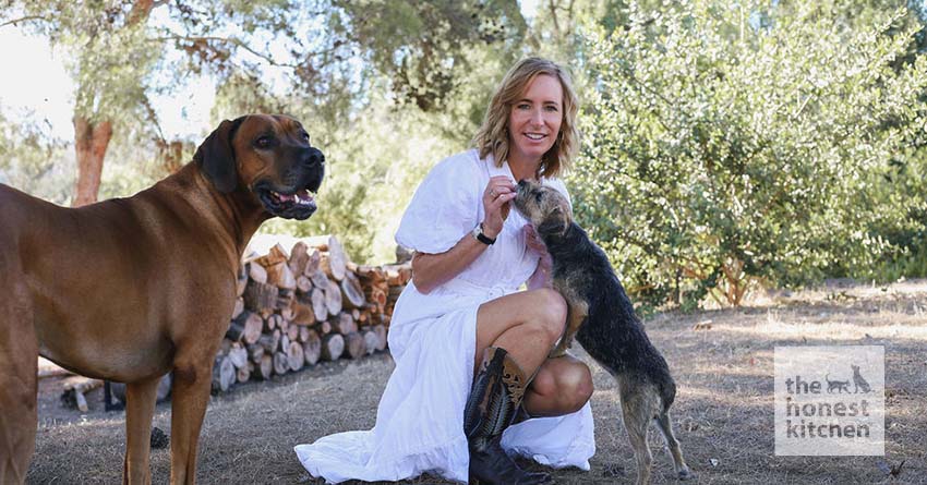 How The Honest Kitchen Became the First Human Grade Pet Food