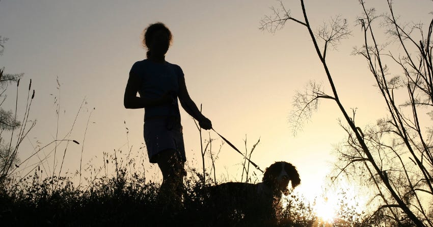 Safety Tips For Running with a Dog at Night