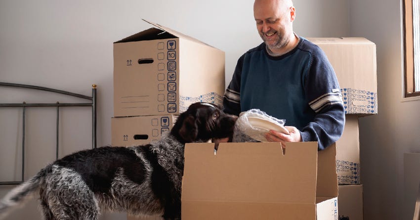 8 Steps for Making a Stress-Free Move With Your Pet