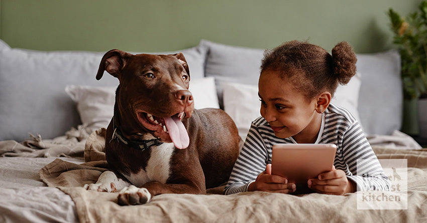 Creating the Right Diet: What’s the Best Food for Pitbulls?