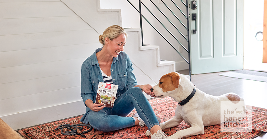 8 Healthy Treat Options for Dogs