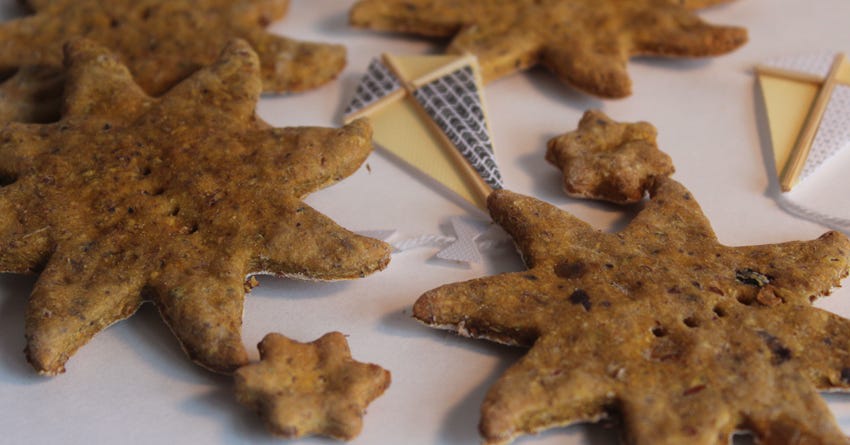Grain Free Chicken and Blueberry Dog Treats