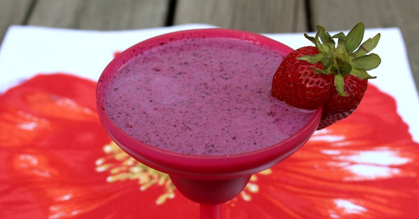 Very Berry Smoothie for Dogs