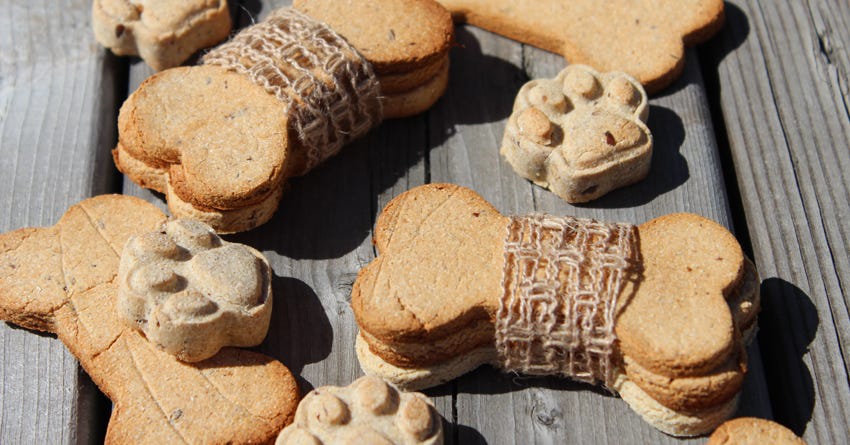 Recipe: Grain-Free Banana Peanut Butter Dog Treats