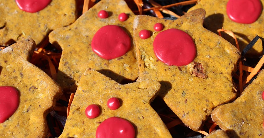 Gluten-Free Pumpkin and Apple Dog Treats