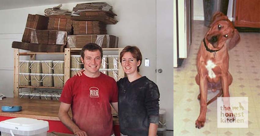 Meet Mosi: The Dog That Inspired The Honest Kitchen