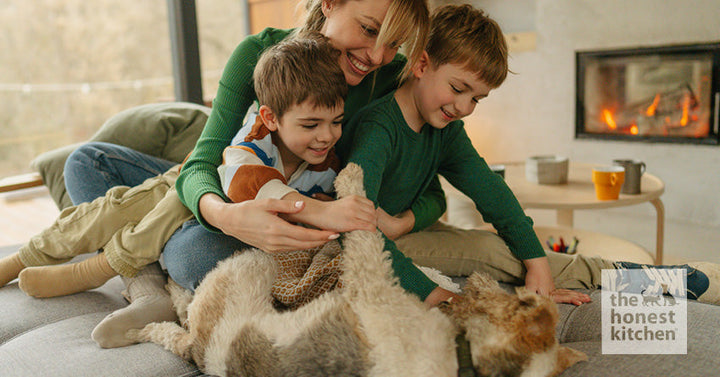 An adult woman and two younger boys playing with their new dog in the living room.