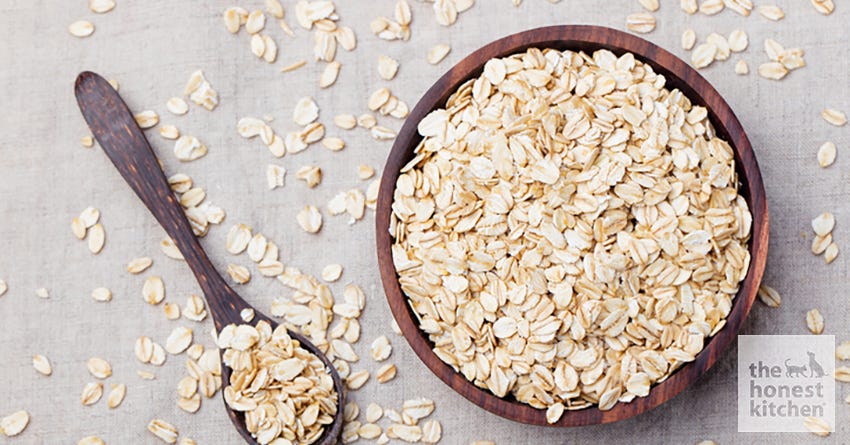 Oats, What’s All The Barking About!