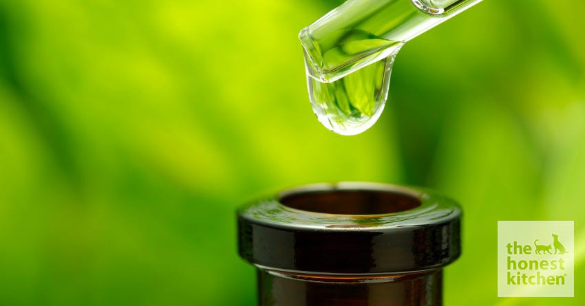 Aromatherapy and Essential Oils for Pets