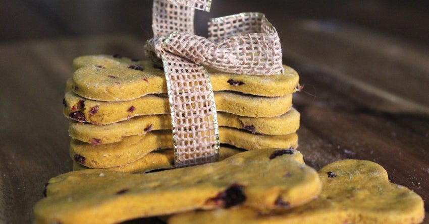 Golden Milk Pumpkin and Cranberry Dog Treats