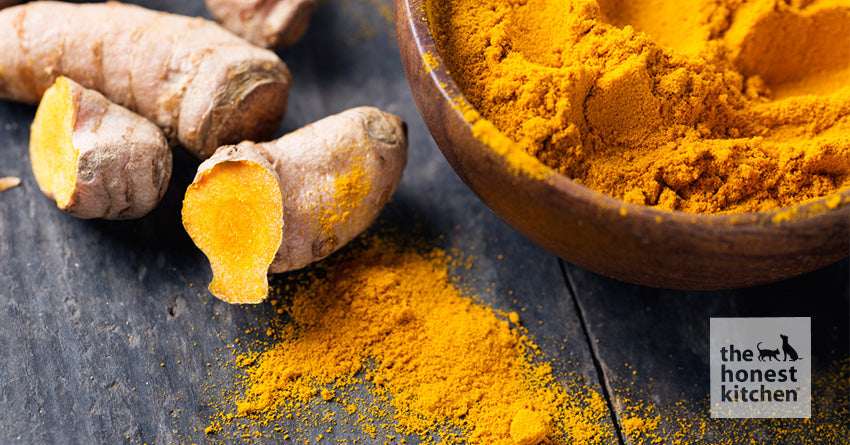 The Honest Kitchen sources high quality turmeric from India.