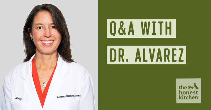 Happy World Vet Day! Q&A with Dr. Leilani Alvarez