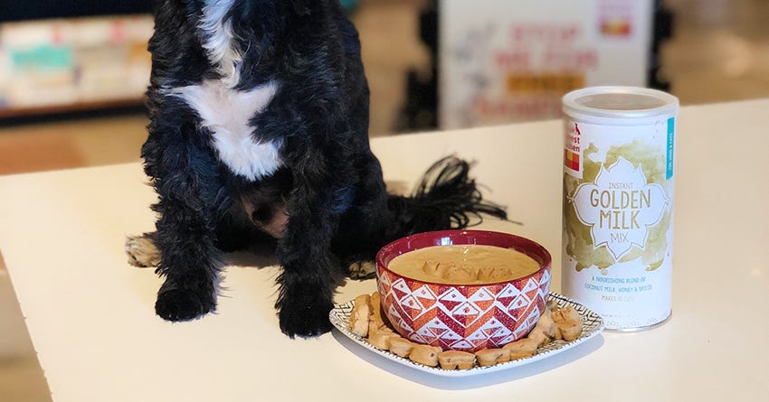 Go for the Gold Superbowl Dip Recipe for Dogs