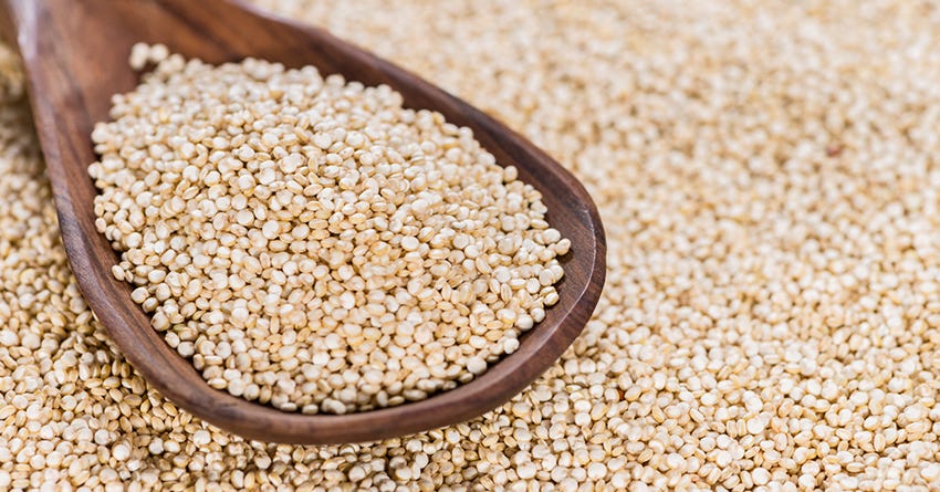 Quinoa is an ancient grain used in pet food