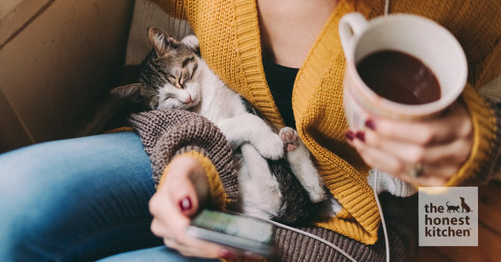 A person sitting down with a cup of coffee, cuddling a small kitten
