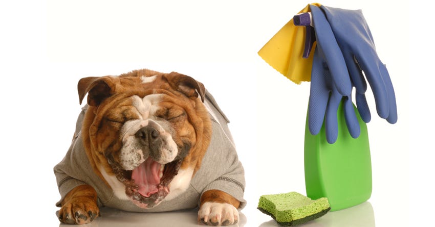 Toxic Household products for pets