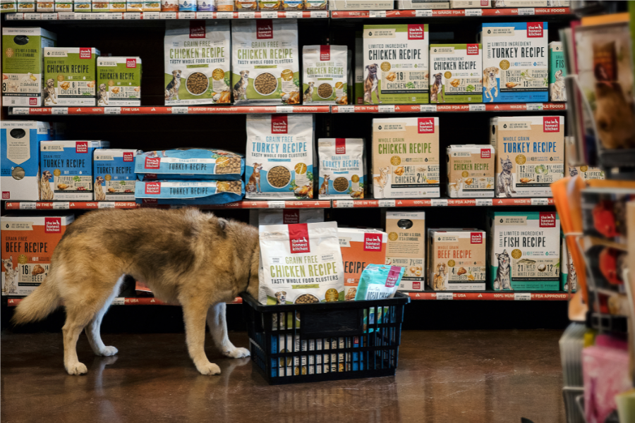 dog in the store 
