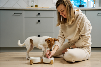 woman trying to hand feed her dog 