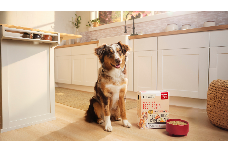 australian shepherd sitting next to human grade dog food