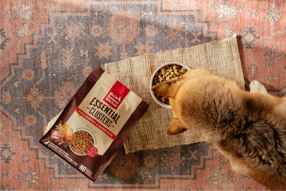 Best Premium Dry Dog Food How to Choose and Where to Buy the Right Brand for Your Dog