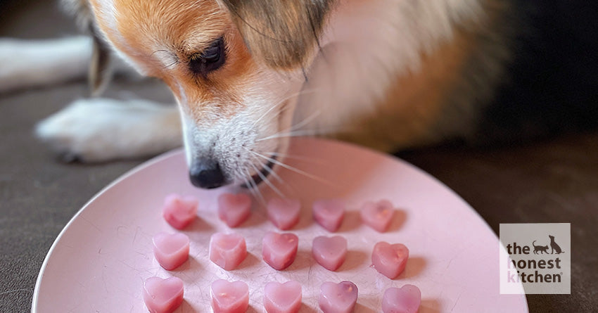 Raspberry Gummies Valentine's Day Dog Treat