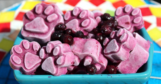 Blueberry Dog Pupsicles