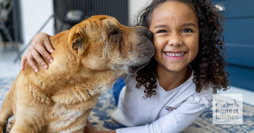 An older dog licking a smiling child's face