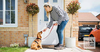 Someone giving a puppy a treat outside their front door