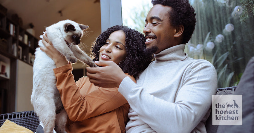 husband and wife holding siamese cat