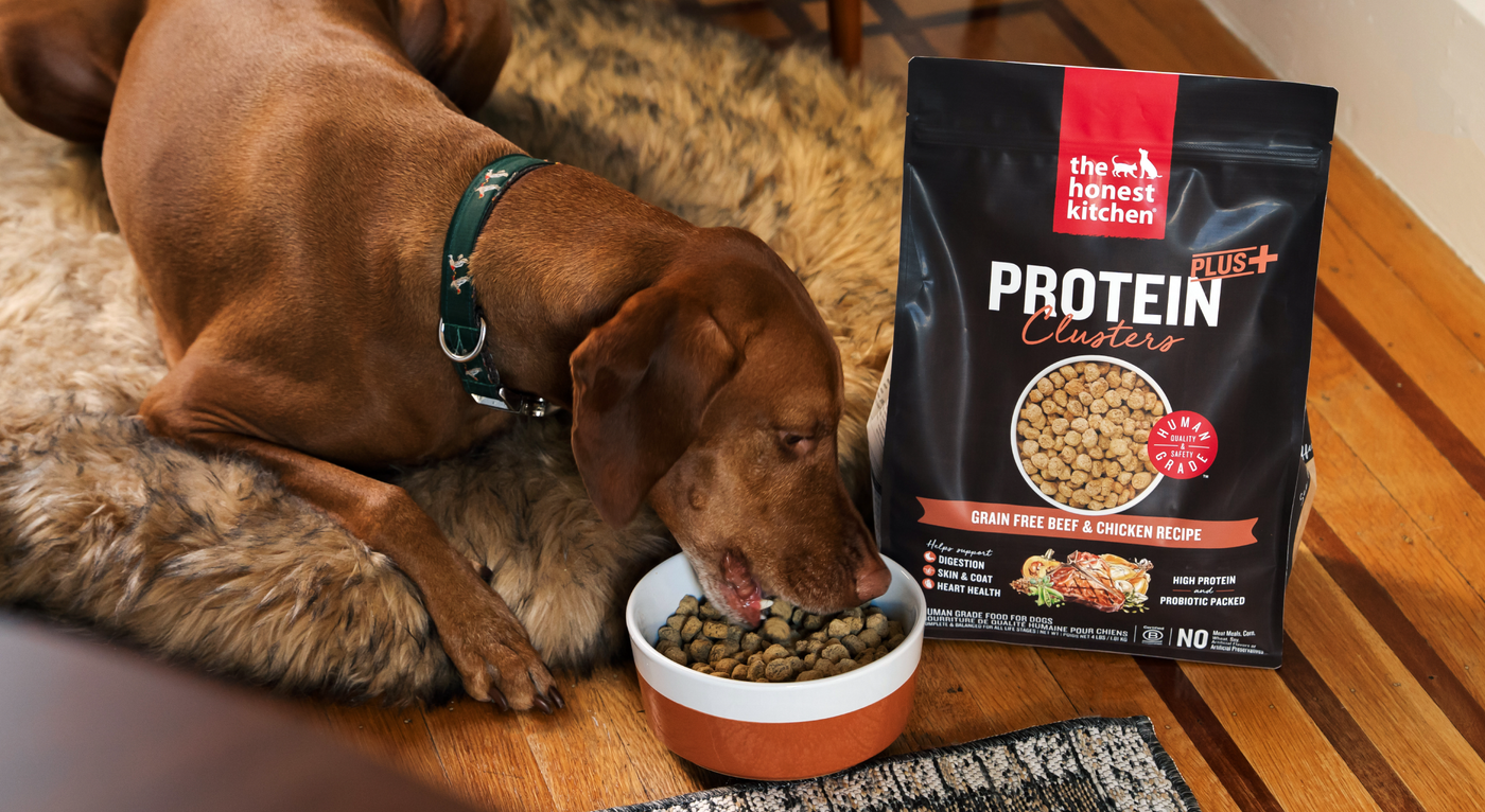 Protein Plus+ Clusters Dry Dog Food