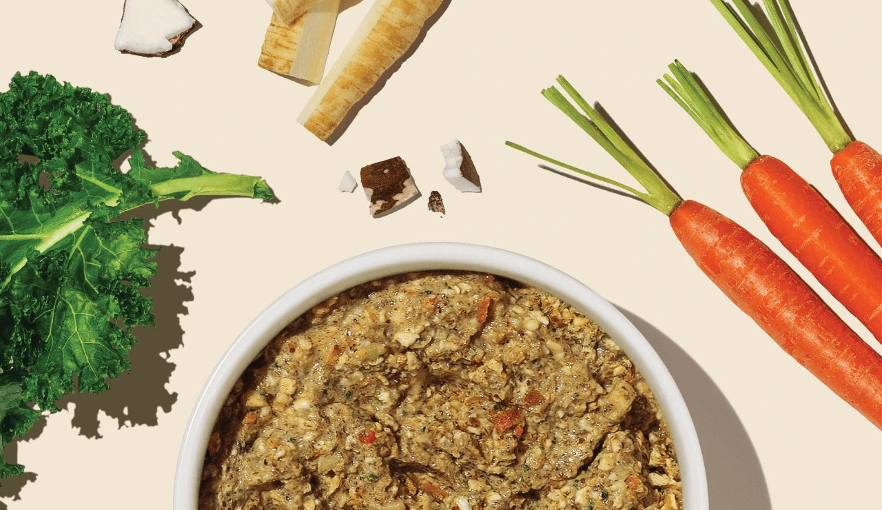 A top-down view of a balanced meal featuring stew in a white bowl, carrots, kale, and other ingredients on a light surface. Shop dehydrated dog food base mixes from The Honest Kitchen. 