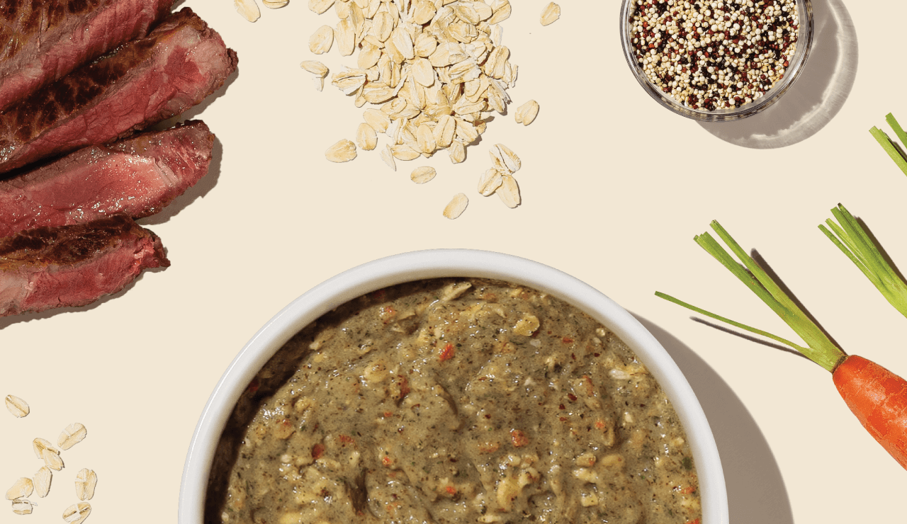 A bird's-eye view of a dog food bowl filled with a chunky mix, surrounded by steak pieces, oats, quinoa, and carrots. Shop whole grain dehydrated dog food from The Honest Kitchen.