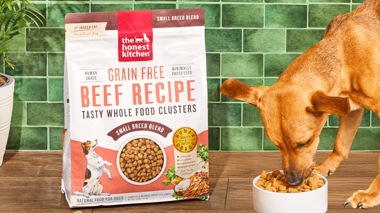 Overhead shot of a dog food bowl with a chunky mix, accompanied by a piece of chicken, apple slices, carrots, and cabbage. Shop grain free dehydrated dog food from The Honest Kitchen.