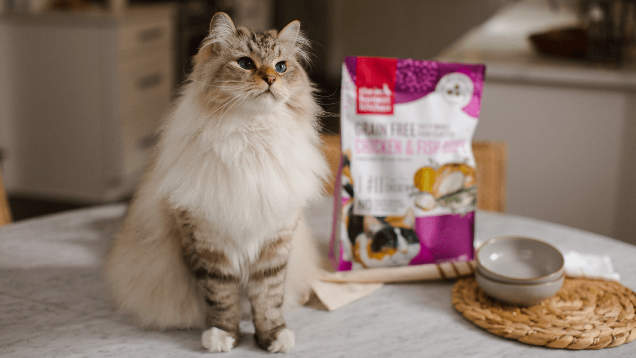 Shop Cat Food & Hydration for Skin & Coat