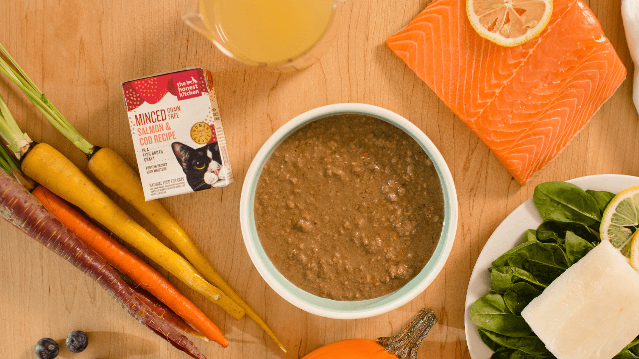A bowl of minced cat food with ingredients surrounding it.  Shop minced wet cat food from The Honest Kitchen.