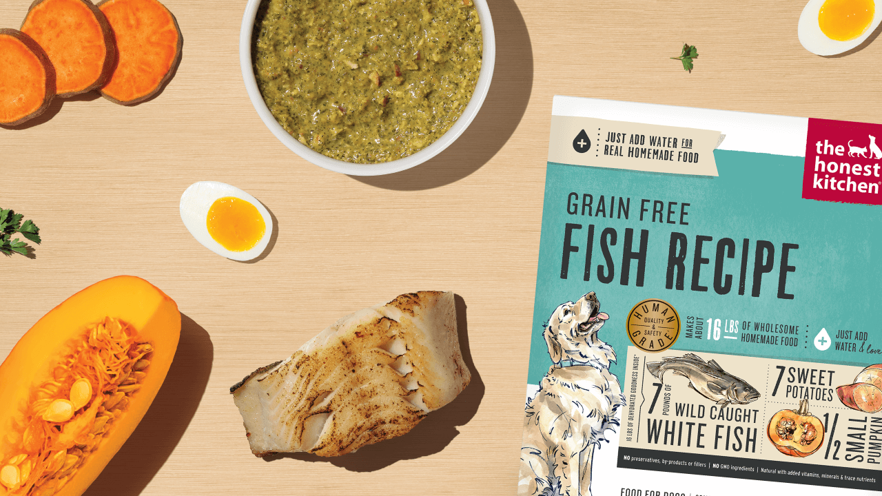 The Honest Kitchen's Grain Free Fish Recipe dog food is displayed with fresh ingredients like fish, sweet potatoes, and pumpkin. Shop senior dog food, treats, and toppers from The Honest Kitchen.