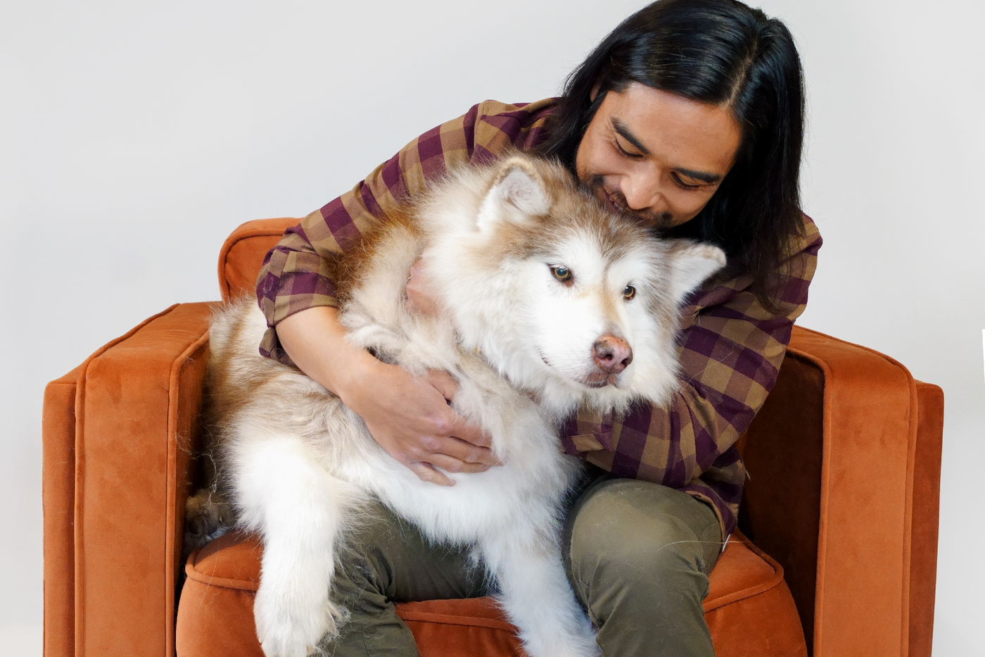 Shop Wholemade™ Senior Dehydrated Dog Food