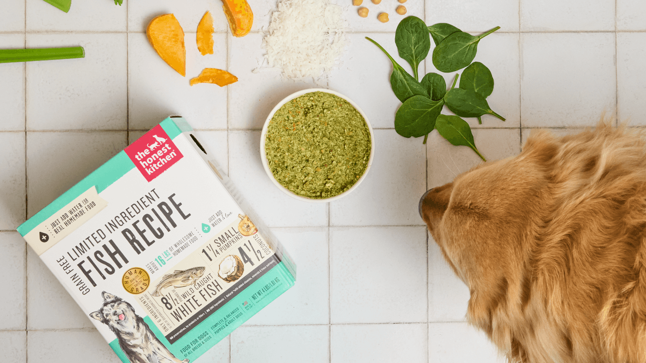 A top-down view of The Honest Kitchen's Limited Ingredient Fish Recipe dog food, featuring a golden retriever, fresh ingredients, and the product packaging, showcasing a healthy and natural pet food option.