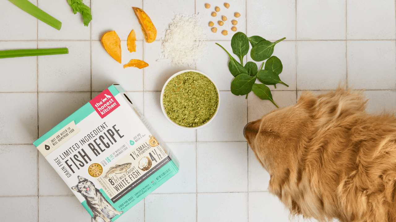 A golden retriever sniffs a bowl of The Honest Kitchen Limited Ingredient Fish Recipe dog food, surrounded by fresh ingredients. hop fish dog food, treats, and toppers from The Honest Kitchen. 