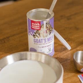 Cat Supplements & Hydration