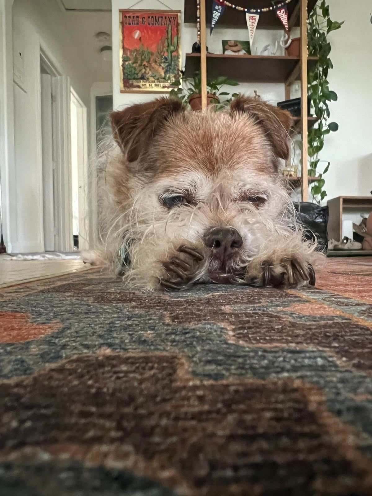 Nap life