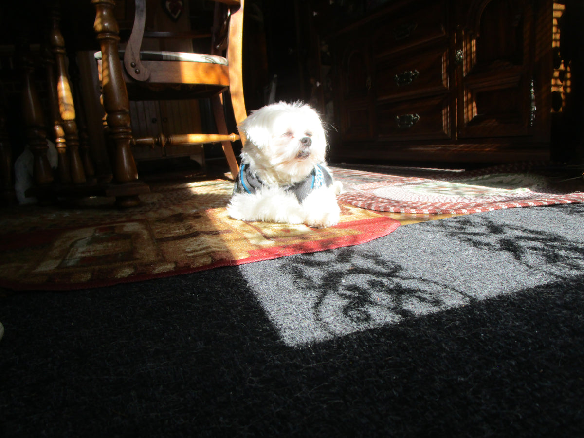 sunshine