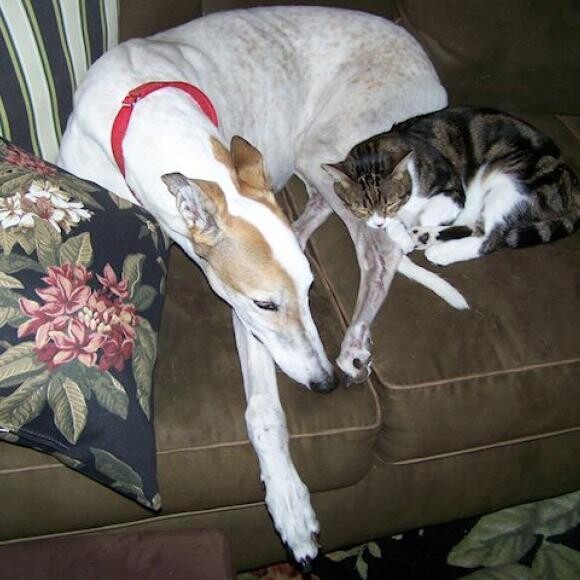 Harvey and his buddy Mookie